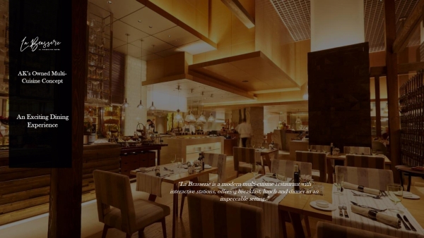 AK Conceptualized Portfolio